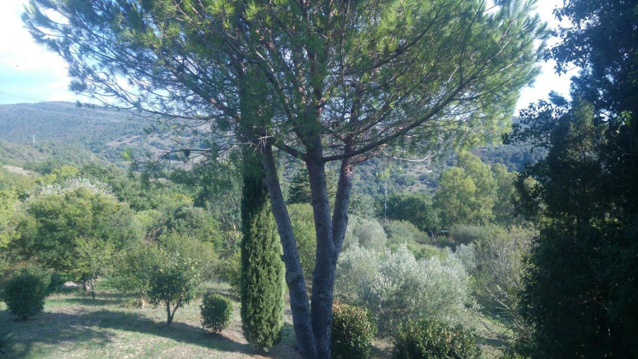 Villa Degli Olmi Allumiere Luaran gambar